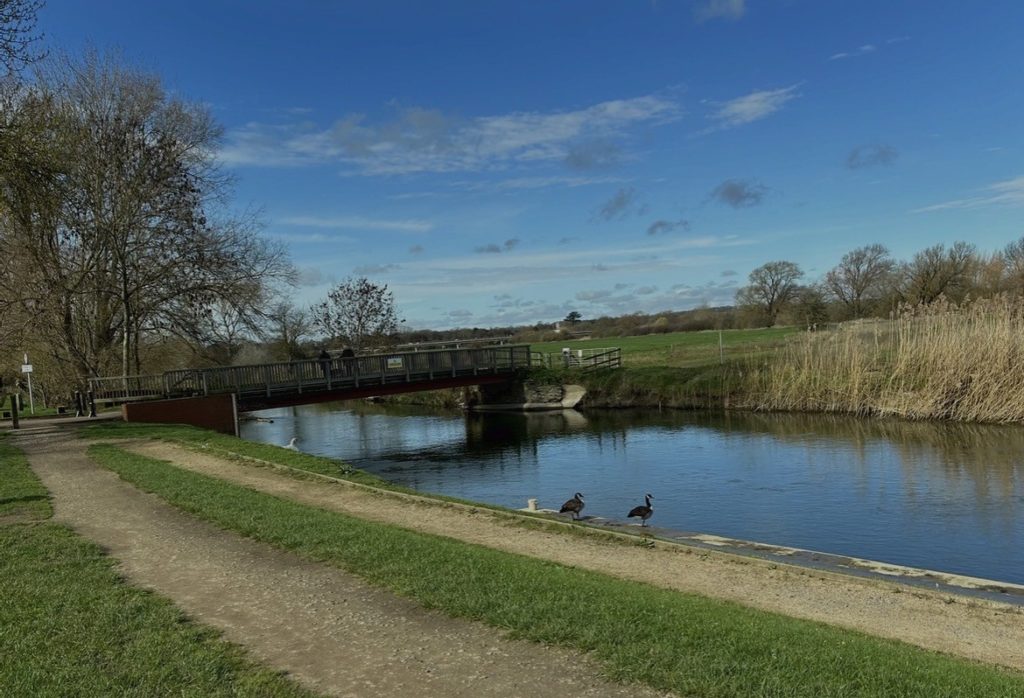 Nature Together ‘Drawing at the River Great Ouse’ free art workshop