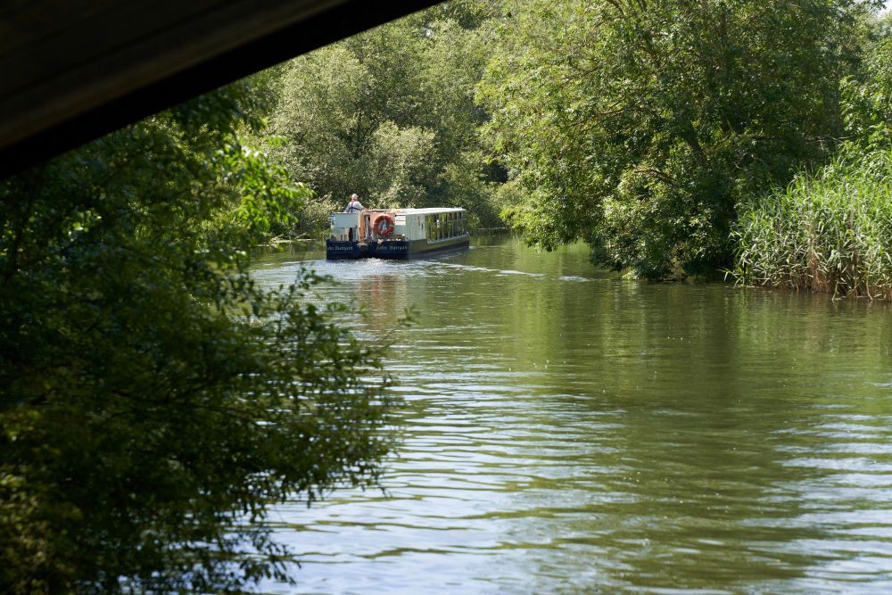 Nature Together ‘Drawing at the River Great Ouse’ free art workshop