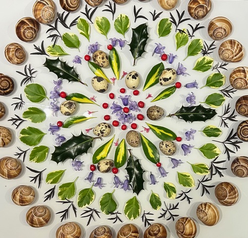 Nature Together ‘Nature Mandalas’ free art workshop